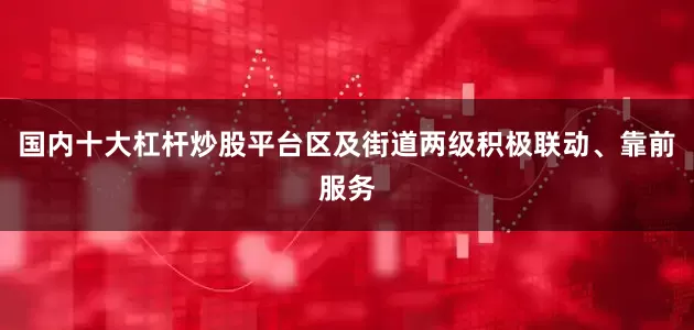 国内十大杠杆炒股平台区及街道两级积极联动、靠前服务