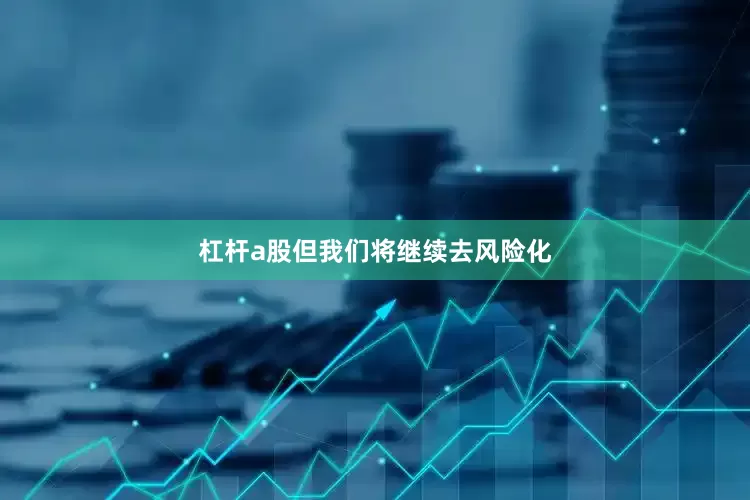 杠杆a股但我们将继续去风险化