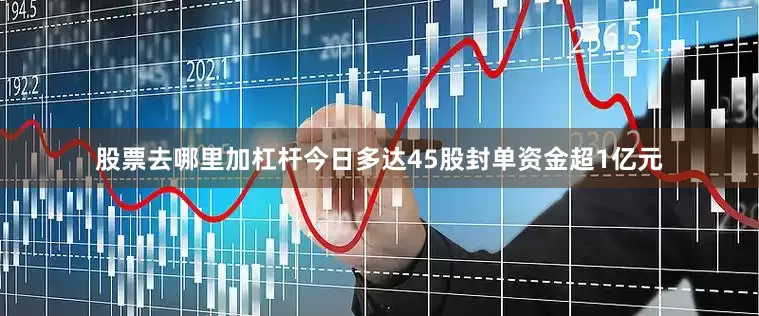 股票去哪里加杠杆今日多达45股封单资金超1亿元