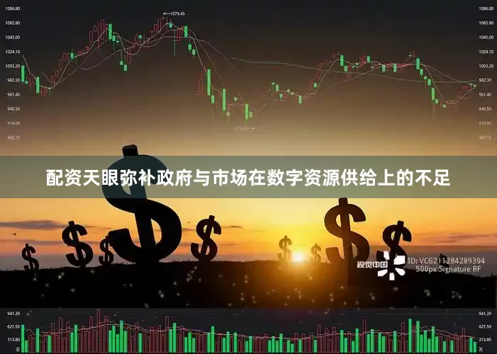 配资天眼弥补政府与市场在数字资源供给上的不足