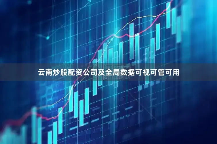 云南炒股配资公司及全局数据可视可管可用