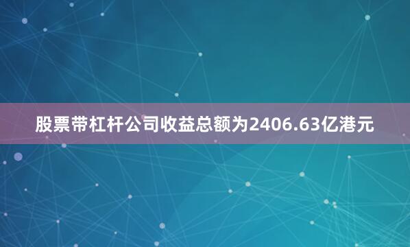 股票带杠杆公司收益总额为2406.63亿港元